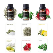 ESSENTIAL OIL KIT FOR LAGUNAMOON CAR DIFFUSER