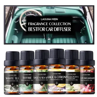 ESSENTIAL OIL KIT FOR LAGUNAMOON CAR DIFFUSER