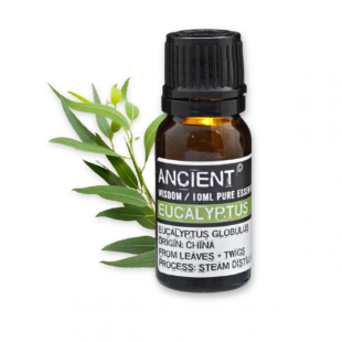 EUCALYPTUS ESSENTIAL OIL 10 ML