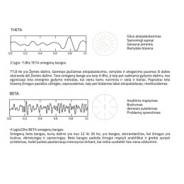 HIGHERDOSE® MAGNETIC FIELD AND INFRARED CARPET