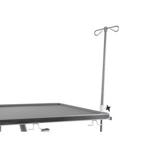 IV POLE