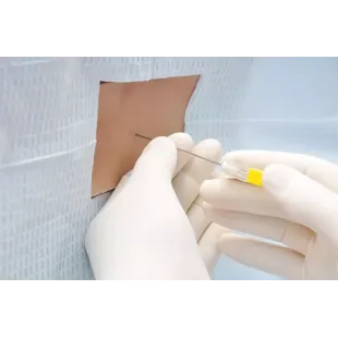 LUMBAR PUNCTURE TRAINER