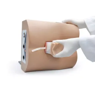 LUMBAR PUNCTURE TRAINER