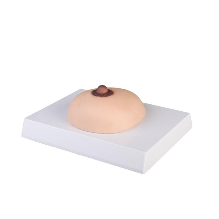 KRŪTIES VĖŽIO PALPACIJOS MODELIS