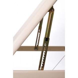 THE PORTABLE MASSAGE TABLE ALU
