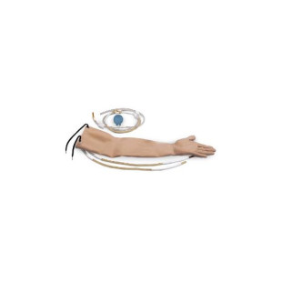 SET SKIN AND ARTERIES FOR R10011