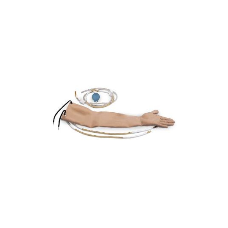 SET SKIN AND ARTERIES FOR R10011
