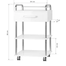 PROCEDURE TROLLEY 6050