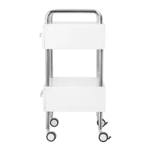 PROCEDURE TROLLEY 6051