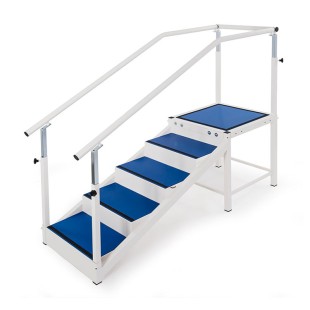 REHABILITATION STAIRCASE WITH SINGLE FLIGHT