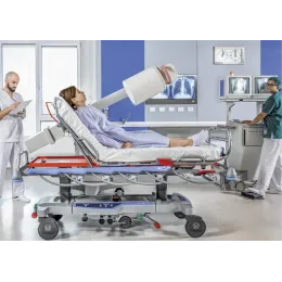 SAVAEIGIS GULIMAS TRANSPORTAVIMO VEŽIMĖLIS VELA