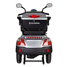 SKUTERIS FASTER