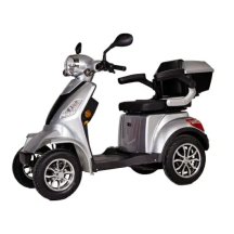 SKUTERIS FASTER