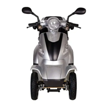 SKUTERIS FASTER