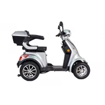 SKUTERIS FASTER