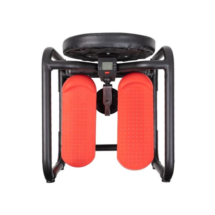 STEPPER - TRAINER TWISTER STEP