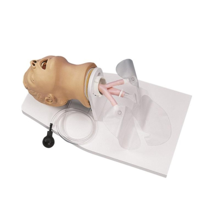 PIEAUGUŠO INTUBĀCIJAS SIMULATORS
