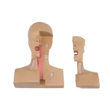 TRAHEOSTOMIJAS VADĪBAS SIMULATORS