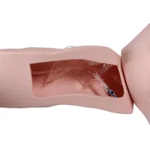 VASCULAR VICTOR - PORT AND CVC TRAINER