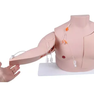 VASCULAR VICTOR - PORT AND CVC TRAINER