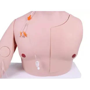 VASCULAR VICTOR - PORT AND CVC TRAINER