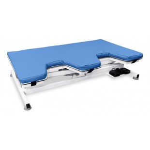 VETERINARY ULTRASOUND TABLE ECHO PRO 1