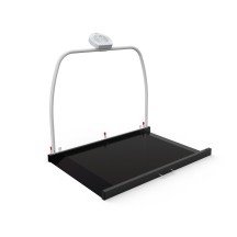 WUNDER RW2.0 PROFESSIONAL ELECTRONIC PLATFORM SCALES WITH A SUPPORT HANDLE, Medical scales, GIMA