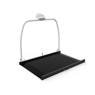 WUNDER RW2.0 PROFESSIONAL ELECTRONIC PLATFORM SCALES WITH A SUPPORT HANDLE WUNDER RW2.0 PROFESSIONAL ELECTRONIC PLATFORM SCALES WITH A SUPPORT HANDLE