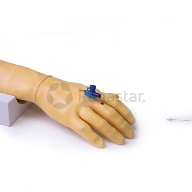 Dirbtinė ranka - treniruoklis intraveninei injekcijai ir infuzijai