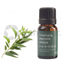Eucalyptus essential oil Rehastar 10ml