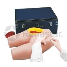 Intramuscular injection simulator