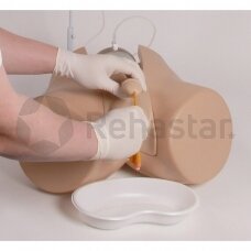 Catheterization simulator with male and female genital inserts