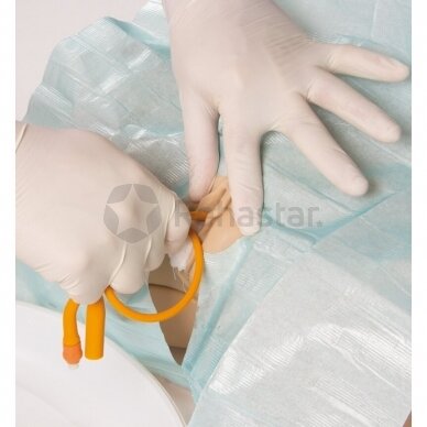 Catheterization simulator with male and female genital inserts