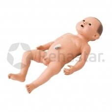 Kūdikių priežiūros manekenas, vyriška lytis