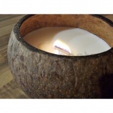 Aromātiskā svece "Coconut" dabīgā kokosriekstu čaulā