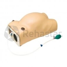 Pregnancy examination model with heartbeat simulation