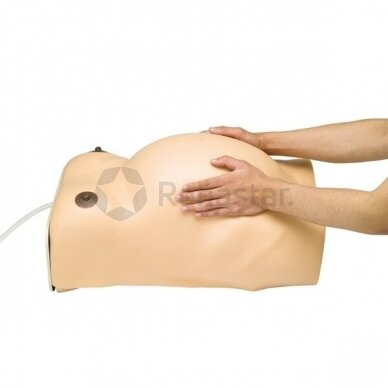 Pregnancy examination model with heartbeat simulation