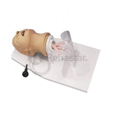 Adult intubation simulator